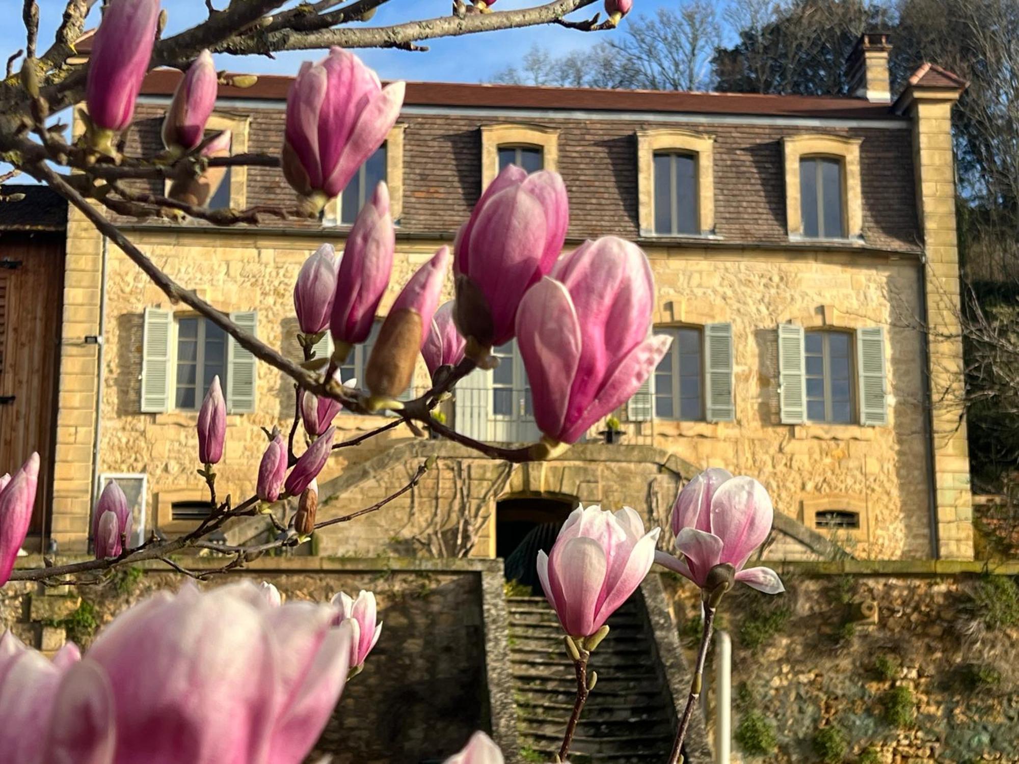 Le Clos De L'Ane Dentelle Vézac Kültér fotó