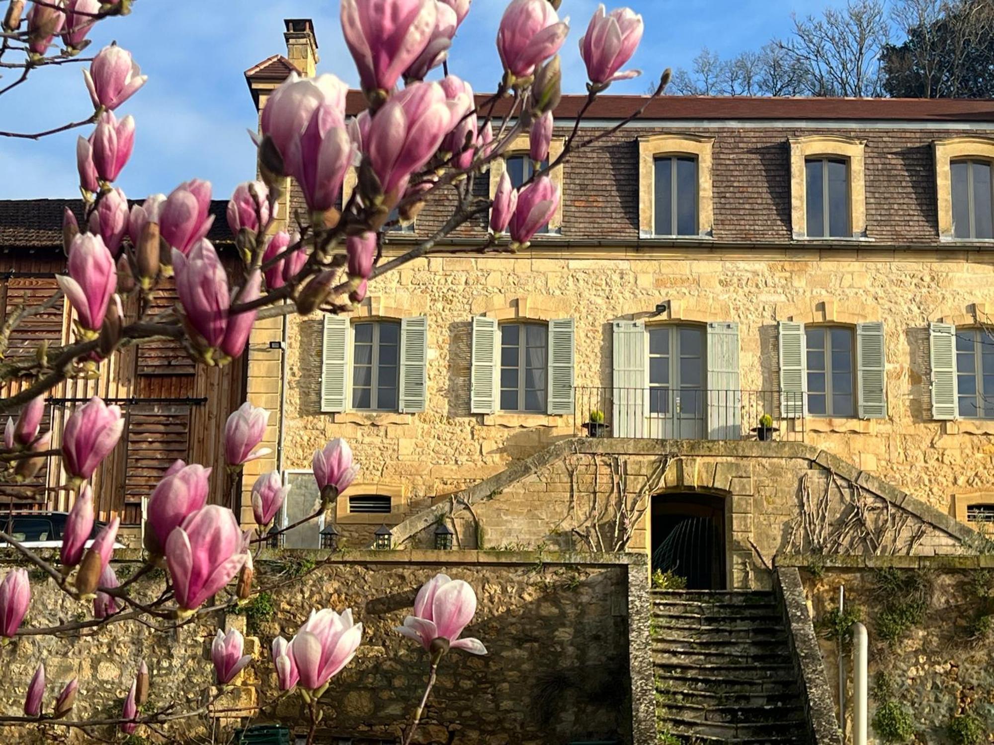 Le Clos De L'Ane Dentelle Vézac Kültér fotó
